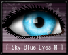 [ Sky Blue Eyes M ]