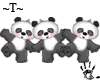 Dancing Pandas ~T~™