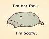 Im Not Fat, Im Poofy