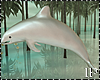 Dolphin White