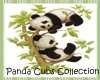 Panda Cubs Cuddle Sofa