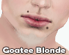 Goatee Blonde