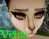 Blitz | Eyes
