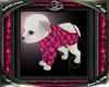 [PD]Pink Plaid Puppy