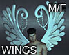 ANGEL WINGS WHITE M/F