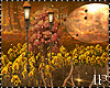 Harvest Moon Autumn Fall