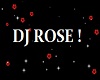 dj rose lights
