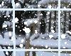 Animated window - snow