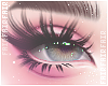 🌸 ADD+ Eyeshadow Yumi