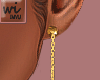 762│Earrings
