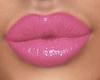 Creamy 6 Lipstick