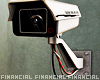Surveillance Camera Ani.