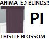 PI - Thistle Anim-Blinds