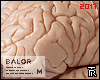 [YC] Human Brain