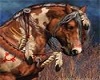 Native Art 2-Sided Frame