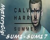 Calvin Harris Summer 