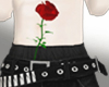 ★rose