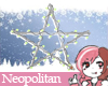 Christmas Star