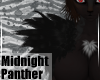 MidnightPanther-F ShdFur
