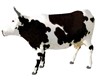 BLACK AND WHITE COW