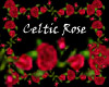 red rose boder