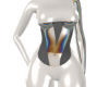 illusion | light suit