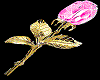 Pink & Gold Rose
