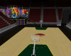 (SS)Basketball stadium