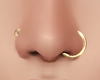!SG Nose Ring Gold HD