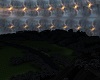 *Ney* FireKingdom Forest