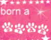 I was born a star