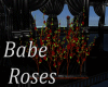 Babe Roses