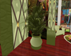 Green Potted Plant