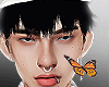 ✠ celh MH