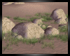 Grass & Rocks
