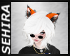 ~S: Aspin Ears Orange