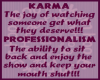 Karma VS Professionalism