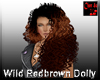 Wild redbrown Dolly