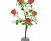 Rose Vase DER