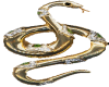 gold snake