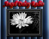 Angel Daisy Radio