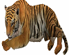 Animated Laying Tiger
