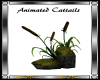 Animated Cattails