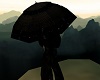 The Dark Umbrella