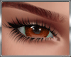 T* Brown Eyes M / F
