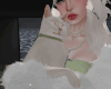 White Cat White Cat