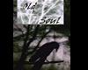 Old Soul
