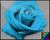 :S Rose. Blue.