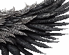 black angel wings