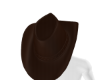 Venjii Cowgirl Hat